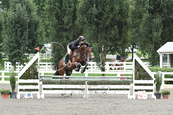 HSM_9423