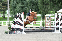 HSM_6003