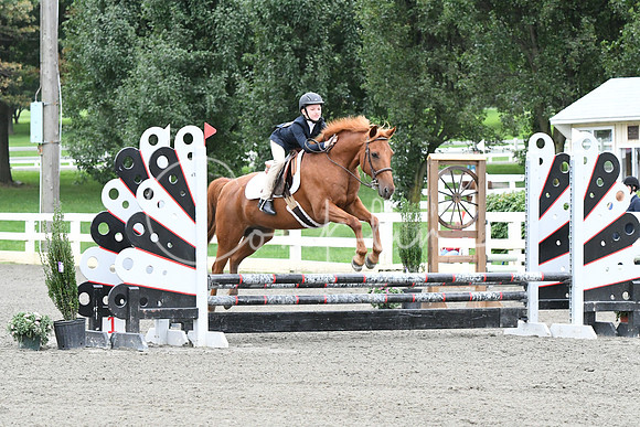 HSM_6004
