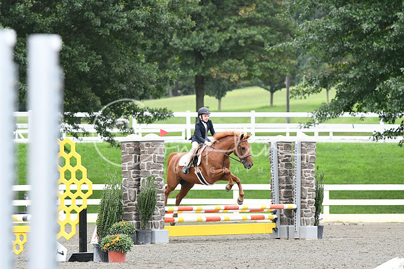 HSM_6008