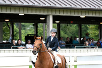 HSM_6019