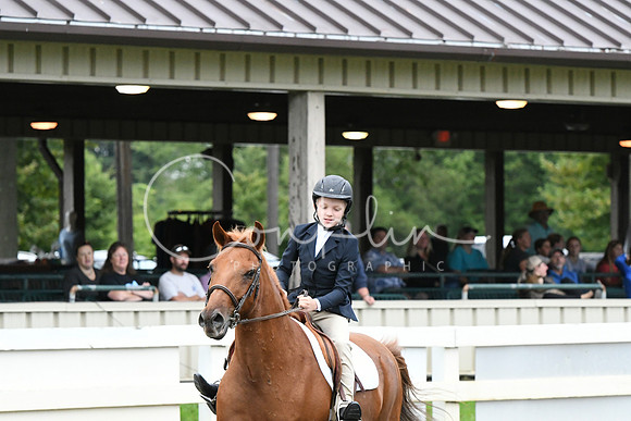 HSM_6019