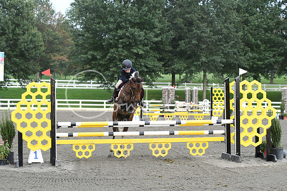 HSM_0059