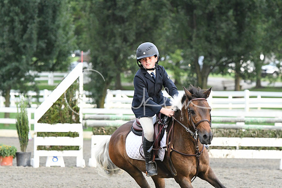 HSM_0077