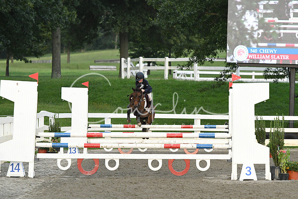HSM_0079