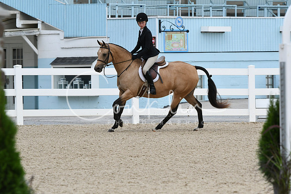 HSM_5174
