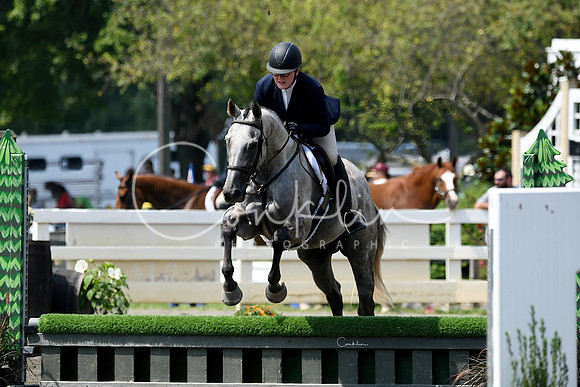 HSM_0743-1