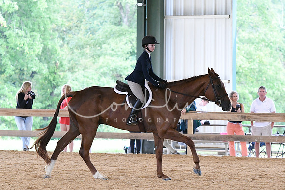 HSM_2523