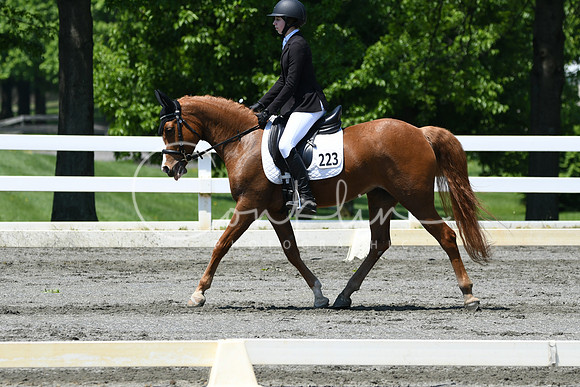 HSM_1552