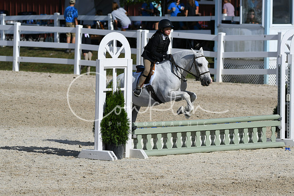 HSM_4036