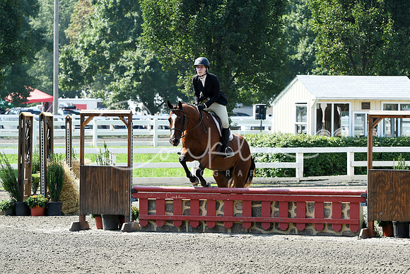 HSM_0386-1