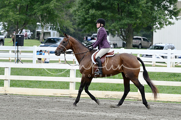 HSM_2819-1