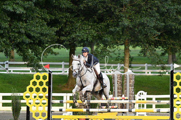 HSM_0138-1