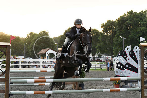 HSM_0166-1