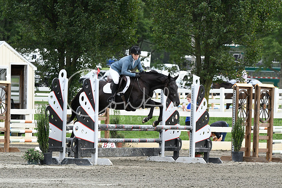 HSM_9013-1