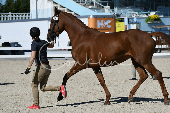HSM_4533