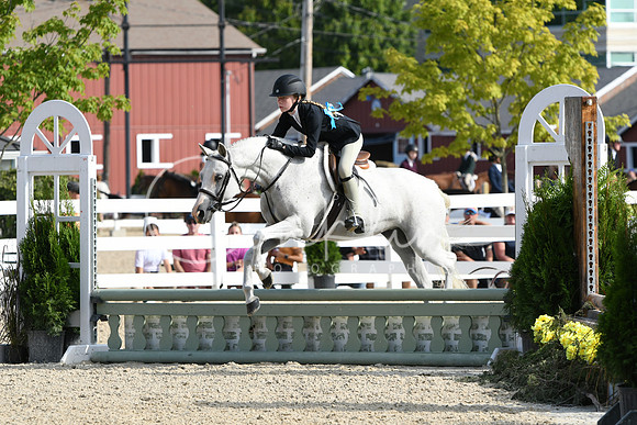 HSM_5825