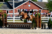 HSM_0103-1