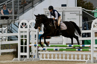 HSM_2787