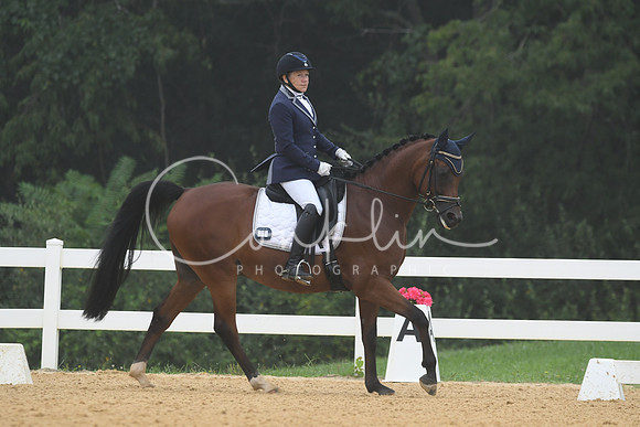 HSM_0962