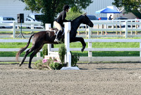 HSM_9890-1