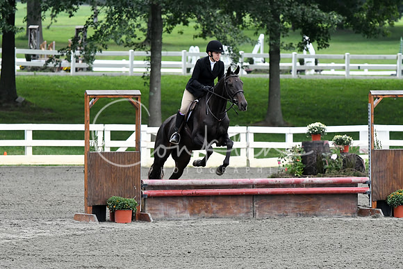 HSM_1642-1
