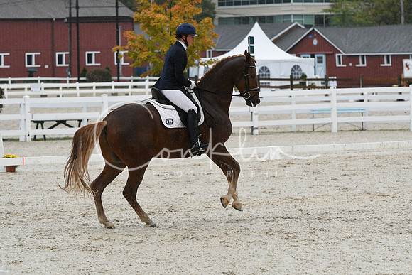 HSM_0543