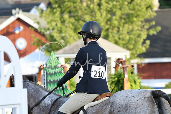 HSM_0247