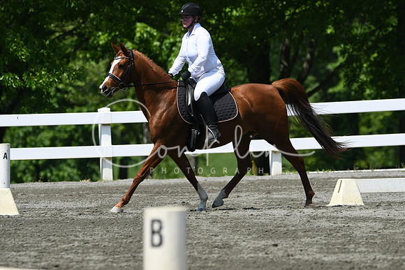 HSM_2215