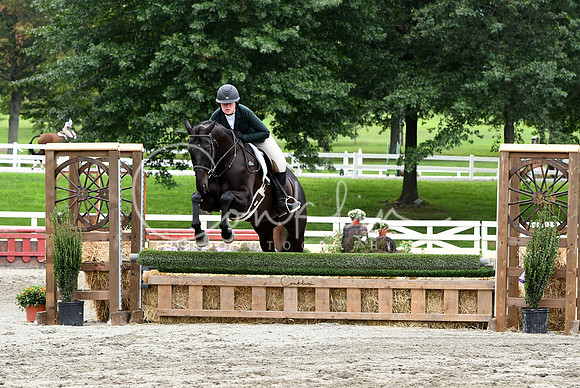 HSM_3596-1
