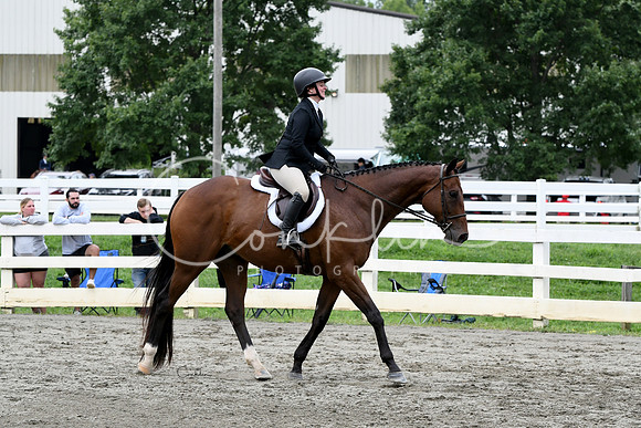 HSM_3720-1