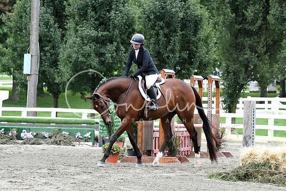 HSM_3783-1
