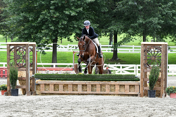 HSM_3835-1