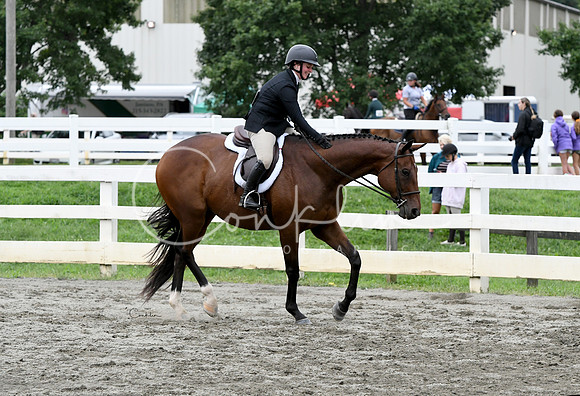 HSM_3850-1