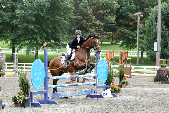 HSM_8206-1