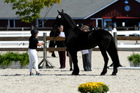 HSM_4733