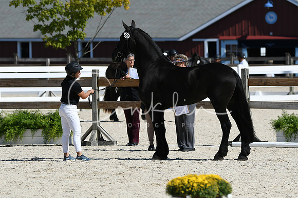 HSM_4733