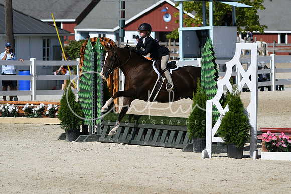 HSM_3871