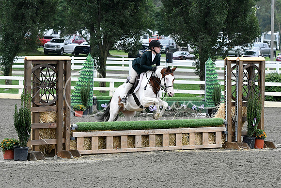 HSM_2117-1