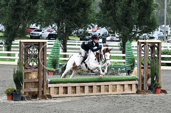 HSM_2070-1