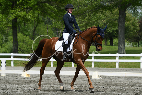 HSM_0543