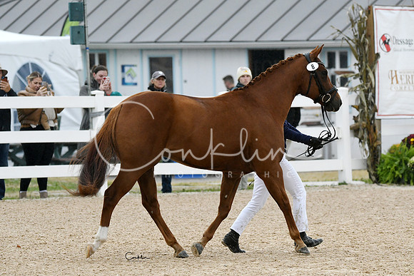 HSM_6851-1