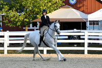 HSM_0295