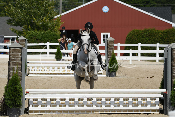 HSM_9571