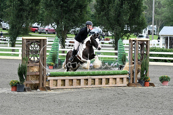 HSM_1302-1