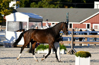 HSM_5604