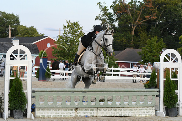 HSM_0363