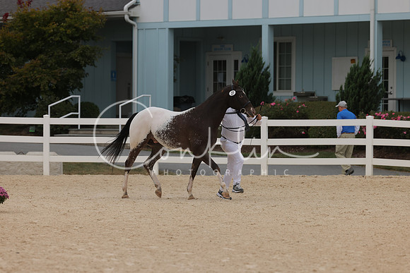 HLK_1844