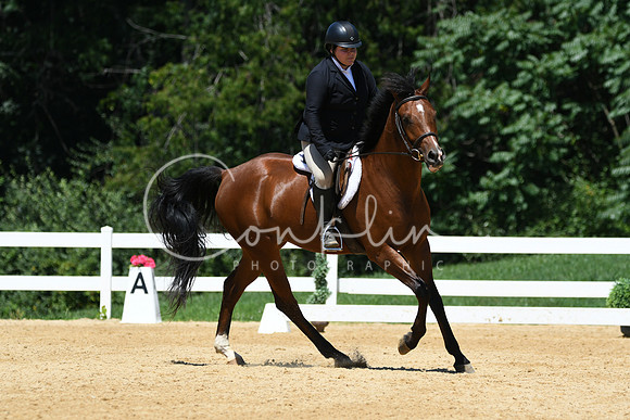 HSM_1334