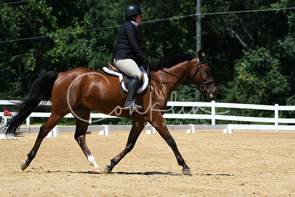 HSM_1343
